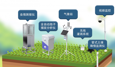 智慧農(nóng)業(yè)創(chuàng)新方案，賦能農(nóng)業(yè)現(xiàn)代化轉(zhuǎn)型新征程